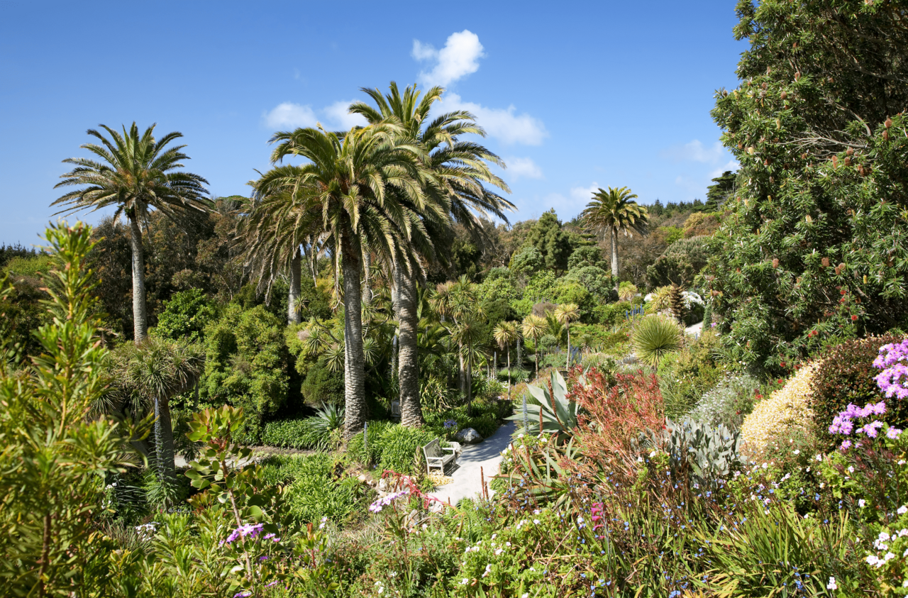 Garten Tresco Abbey Garden