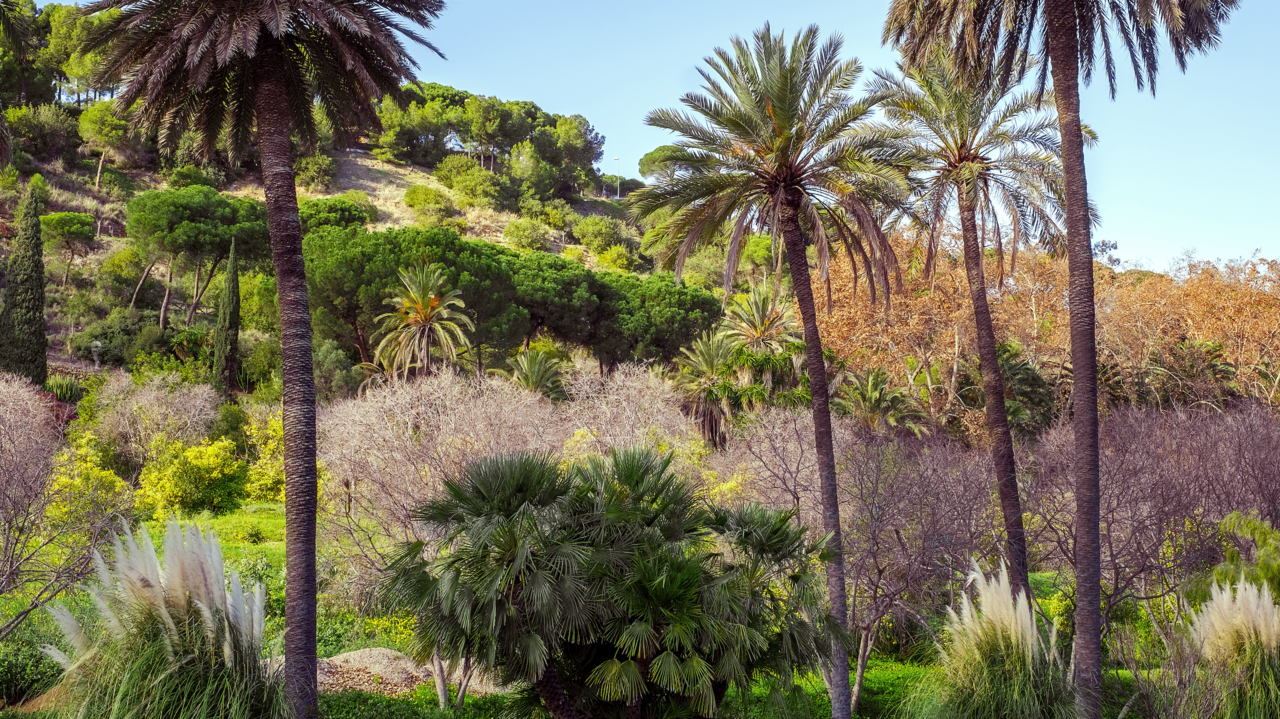 Jardín Botánico-Histórico La Concepción